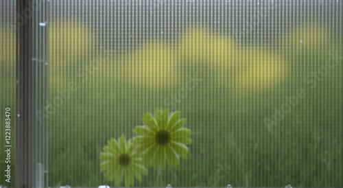 background, flower, nature, summer, yellow, illustration, texture, sunflower, grunge, design, green, vector, wallpaper, plant, floral, pattern, leaf, art, spring, color, backdrop, card, flowers, daisy