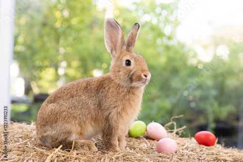 Lovely bunny easter fluffy rabbit eating green grass, carrot with a basket full of colorful easter eggs on green garden nature with flowers background on warmimg day. Symbol of easter day festival. photo