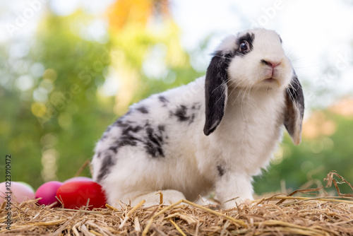 Lovely bunny easter fluffy rabbit eating green grass, carrot with a basket full of colorful easter eggs on green garden nature with flowers background on warmimg day. Symbol of easter day festival. photo