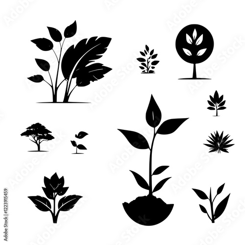Collection of Black and White Plant Silhouettes: Botanical Icons, Floral Graphics, Nature Illustrations