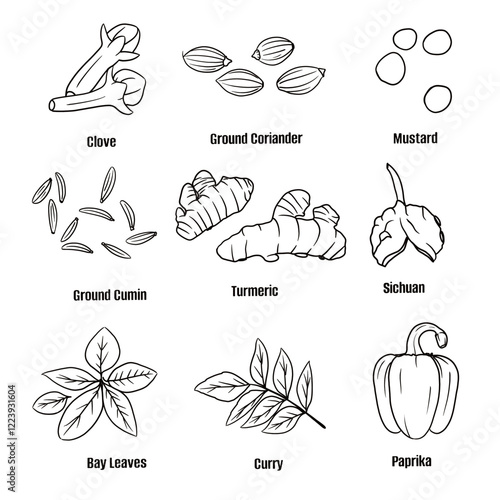 Hand drawn vector sketch set of Spices illustration line art, Clove,Ground Coriander, Mustard, Ground Cumin,Turmeric, Sichuan, Bay Leaves, Curry and Paprika. Seasoning food design