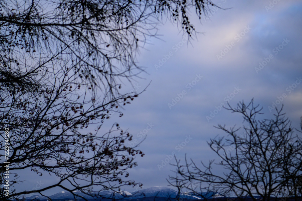 Silhouette of tree branches against cloudy sky and mountains Silhouette of tree branches against cloudy sky and mountains