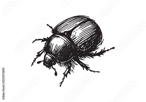 Dung Beetle hand drawn Illustration Sketch Vector Isolated