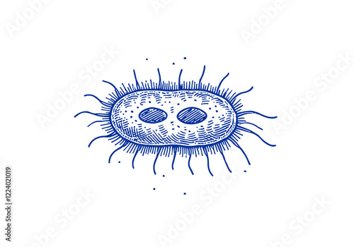 Protozoa hand drawn Illustration Sketch Vector Isolated