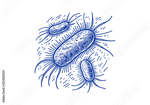 Protozoa hand drawn Illustration Sketch Vector Isolated