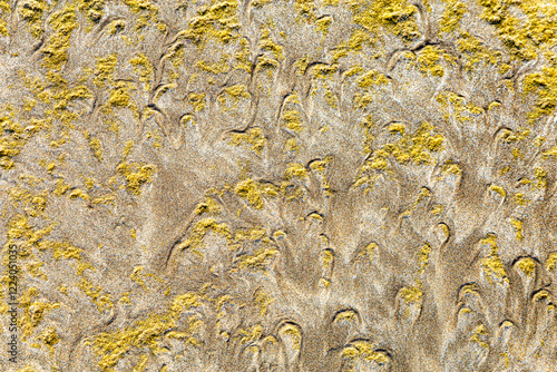 Sand formations, Oakura, North Island, New Zealand, Oceania. photo