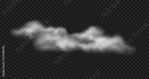 Vector realistic white steam cloud, fog, smoke. Foggy or haze cloud isolated on transparent background