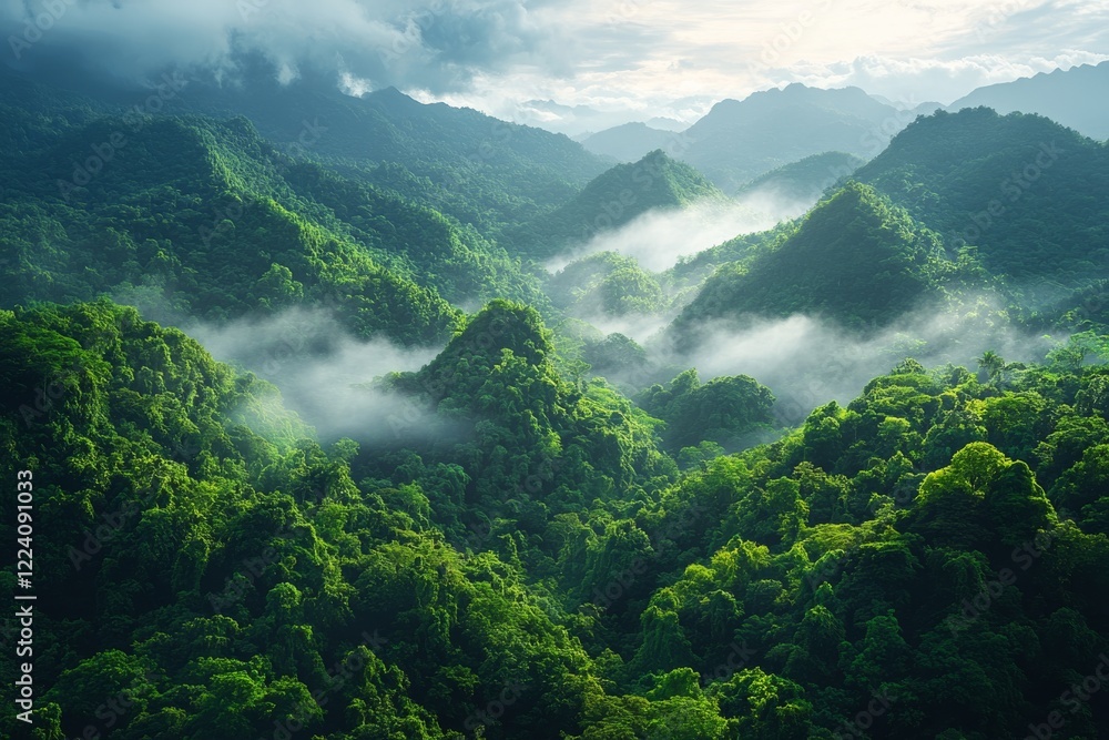 Obraz premium Aerial View of Lush Tropical Rainforest and Winding Rivers in Vibrant Green Landscape
