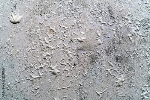 The blistered surface of cement wall. Swollen color wall from the moisture. Cracked wall, Paint white peeling off and old outside wall. Blistering occurs due to humidity, Wet wall surfaces and mold. photo