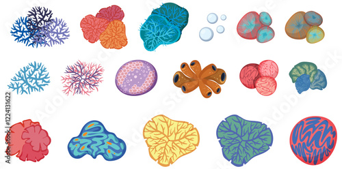 Colorful Biodiversity of Marine Life