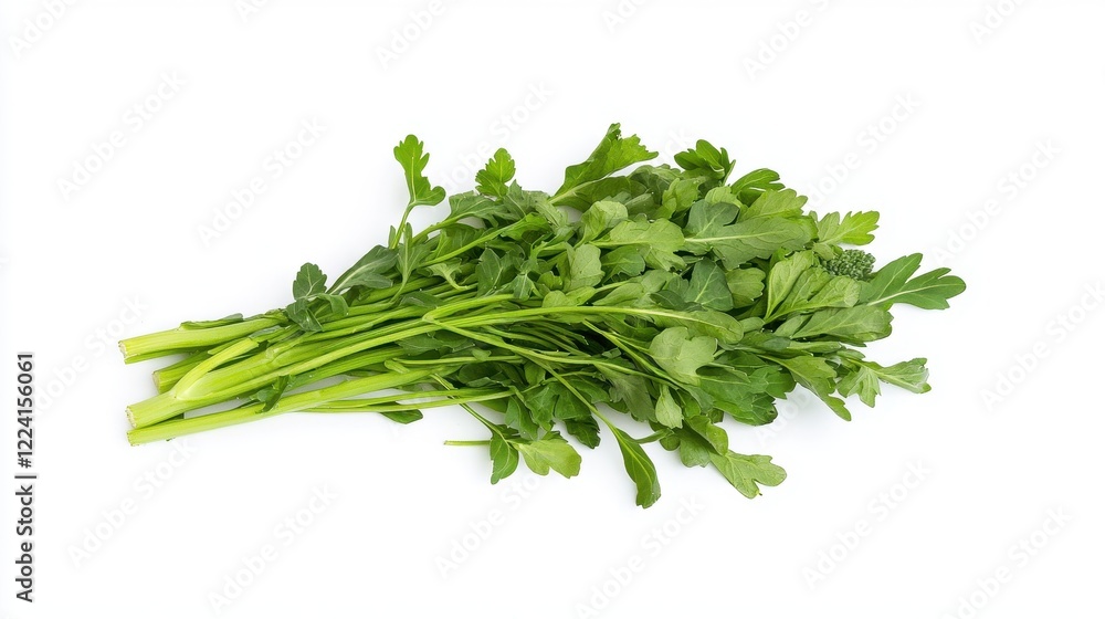 Fresh green parsley bunch on a wooden cutting board with natural lighting Fresh green parsley bunch on a wooden cutting board with natural lighting
