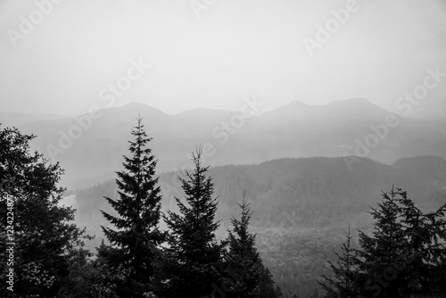 Black and white photo of mountains and trees in forest covered by smoke and haze from fires photo