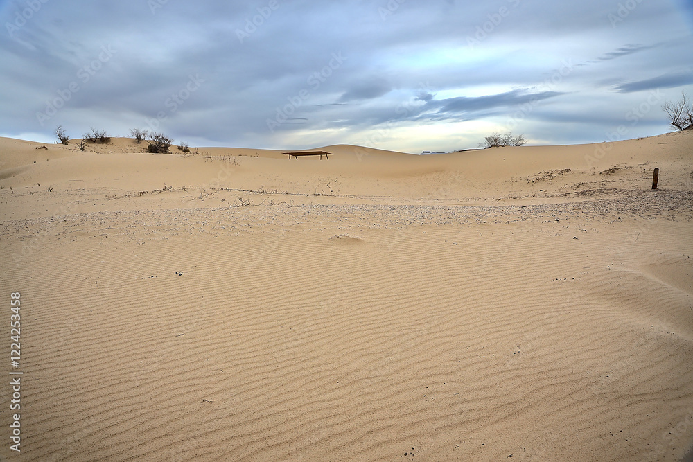 Sand dunes covered with a thin sheet of ice during a clear winter day at Monahans Sand Hills State Park, Monahans, Texas. Sand dunes covered with a thin sheet of ice during a clear winter day at Monahans Sand Hills State Park, Monahans, Texas.
