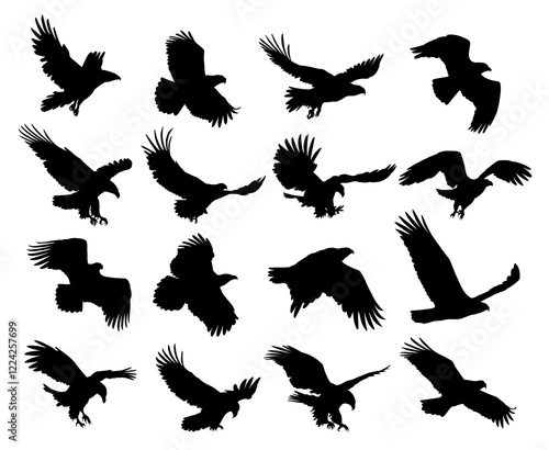 Big set silhouettes of wild eagles in flight.
