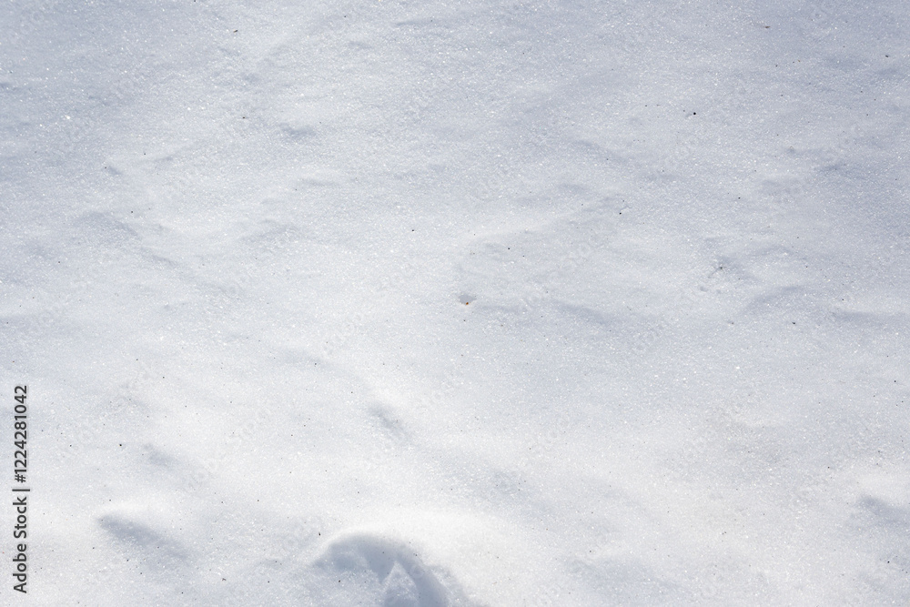 Snow background, an untouched natural white background of snow at daytime in the forest of Nikko National Park in Japan with space for text. Snow background, an untouched natural white background of snow at daytime in the forest of Nikko National Park in Japan with space for text.