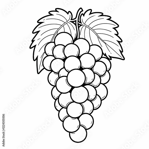 Large Bunch of Grapes Line Drawing Illustration