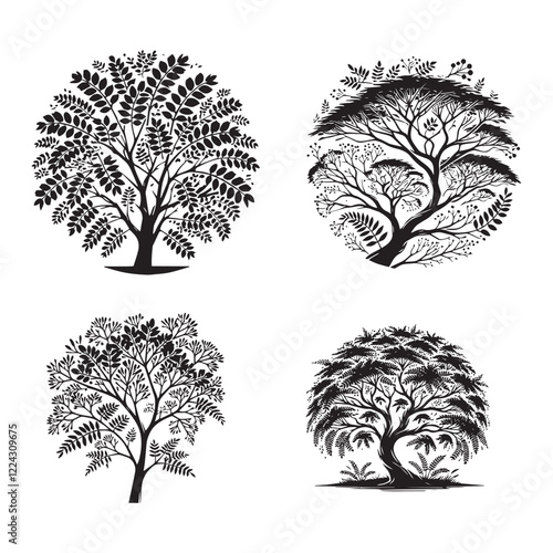 Wallpaper Mural detailed Vector Silhouette of a False Acacia on White Background"  Torontodigital.ca