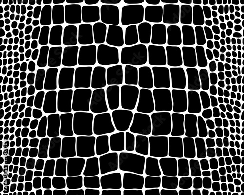 Seamless pattern of alligator skin on a white background	