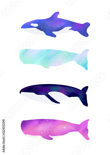 Whale