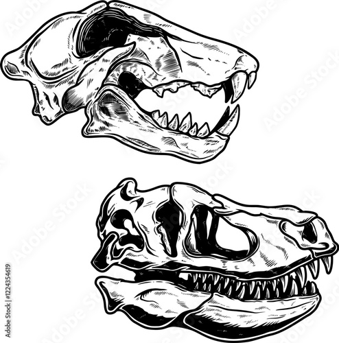 Illustration of skull of Tyrannosaurus dinosaur in vintage monochrome style. Design element for logo, emblem, sign, poster, card, banner. Vector illustration photo