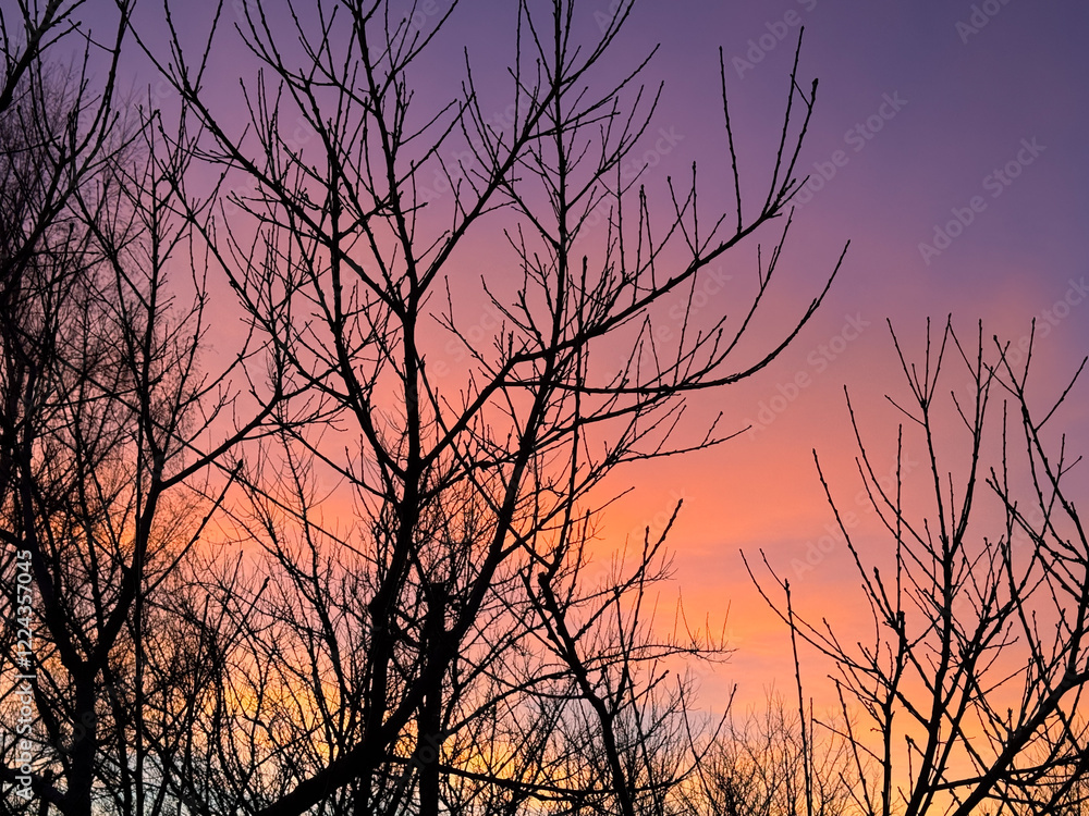 Obraz premium The sky is a beautiful orange and purple color