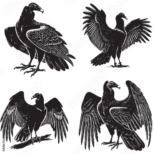 High-Quality Vector Silhouette of a Turkey Vulture on White Background" 