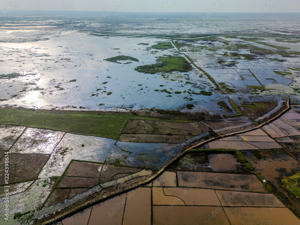 Fototapeta premium Expansive Aerial View of Waterlogged Farmland and Wetlands in Sreemangal, Sylhet, Bangladesh