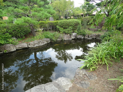 日本庭園の小池