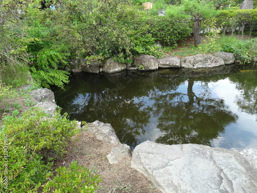 日本庭園の小池