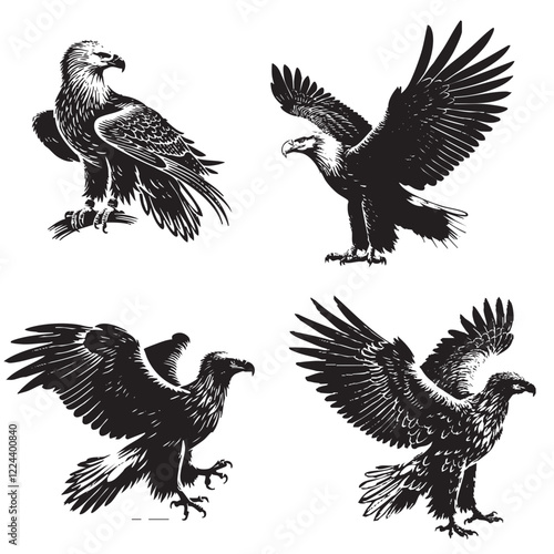 High-Quality Vector Silhouette of a White-tailed Eagle on White Background" 