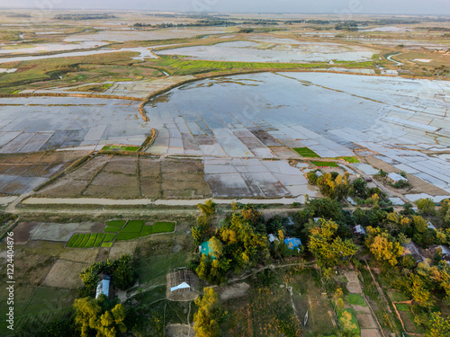 Aerial View of Flooded Rural Landscape with Paddy Fields in Gowainghat, Sylhet, Bangladesh photo