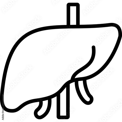 liver organ line icon
