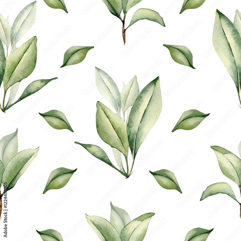 Branches of citrus tree with leaves watercolor seamless pattern isolated on white. Grapefruit tree greenery sprigs hand drawn on repeating texture. Foliage background for wallpaper, packaging, textile Branches of citrus tree with leaves watercolor seamless pattern isolated on white. Grapefruit tree greenery sprigs hand drawn on repeating texture. Foliage background for wallpaper, packaging, textile