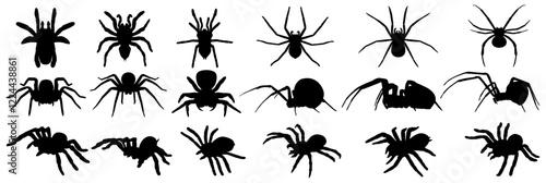 set vector spider silhouettes icon. tarantula. widow spiders. Halloween spider symbol design template illustration