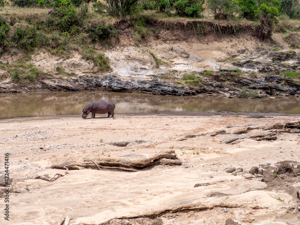 Fototapeta premium OLYMPUS DIGITAL CAMERA