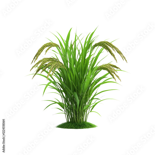 Lush Green Rice Plant with Ripe Grains Isolated on Transparent Background