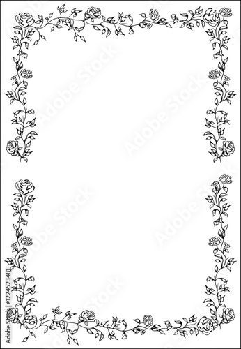 Elegant Floral Frames great for that special occasion