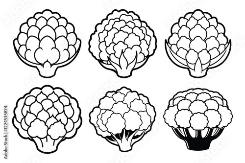 Cauliflower lineout set  icon vector on White Background Vector Art Illustration on white background.