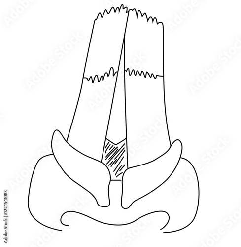 Science of hand drawn vector respiratory system outline.