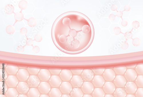 Elastin and Collagen layer under skin. Facial treatment and Cosmetic concept.