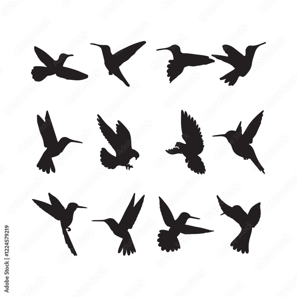 Set of Silhouettes of Birds Set of Silhouettes of Birds