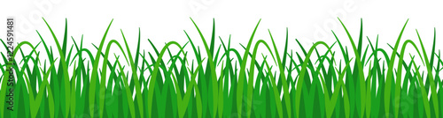 Grass. Seamless border.