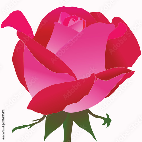 Realistic Natural Rose Vector Illustration photo