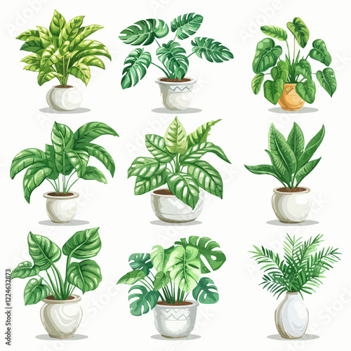 Elegant indoor plant vector art showcasing nine varieties in decorative pots.