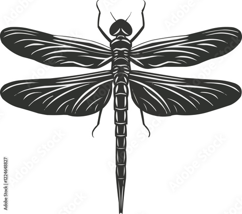 Vector dragonfly design with detailed wing patterns.