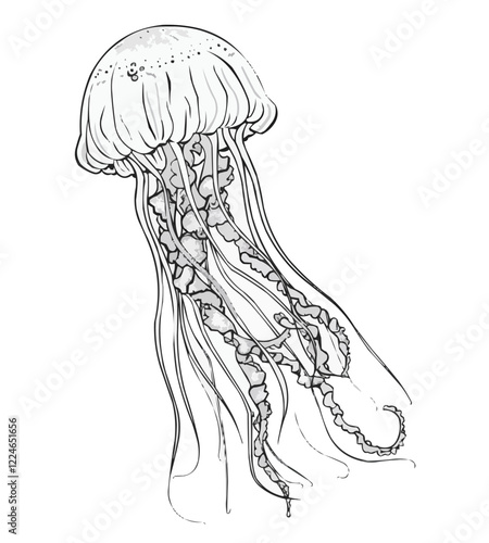 Vector design of monochrome jellyfish with detailed tentacles.
