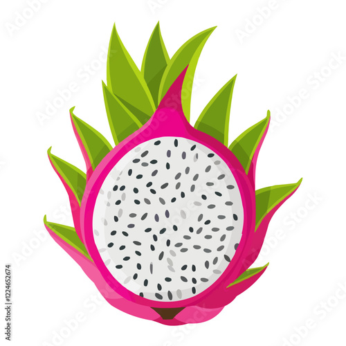 Colorful pitaya vector on white background with green leaves.