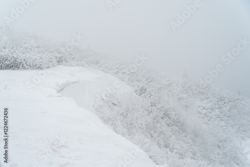 Okolice Babiej Góry  w zimowej scenerii photo