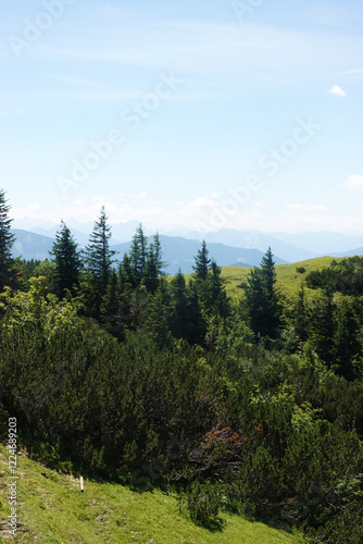 Wallpaper Mural The view from Gosaukamm mountain ridge, Austria Torontodigital.ca
