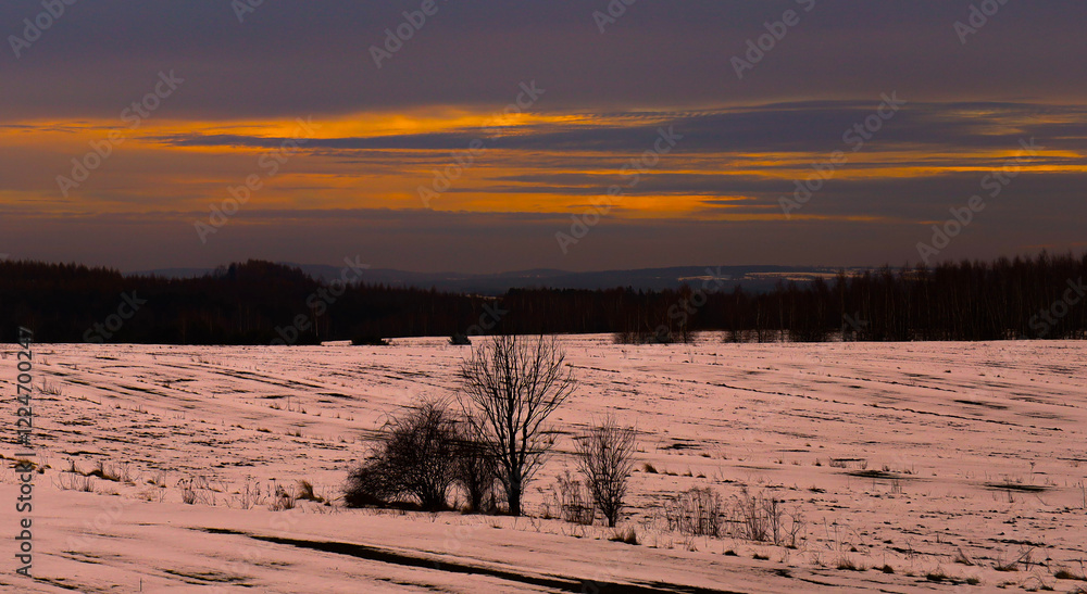 winter landscape with a view of the mountains winter landscape with a view of the mountains